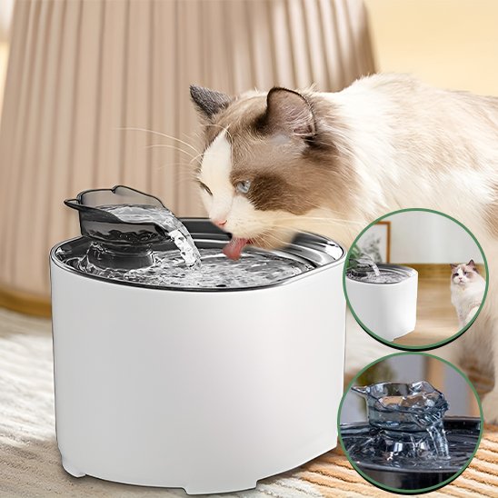 Fontaine Ă eau chat | Cascade Premium