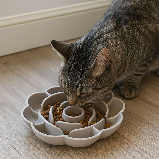 Gamelle anti glouton Chat | DigestoPause
