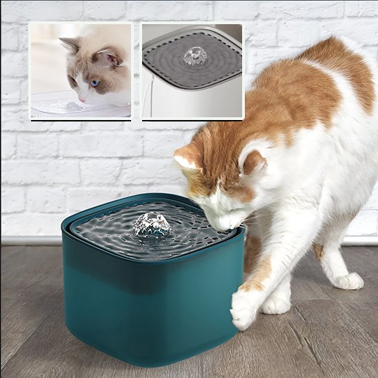 Fontaine à eau chat | Anti-déshydratation