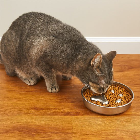 Gamelle anti glouton chat | DigestCare