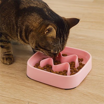 Gamelle anti glouton Chat | DigestControl