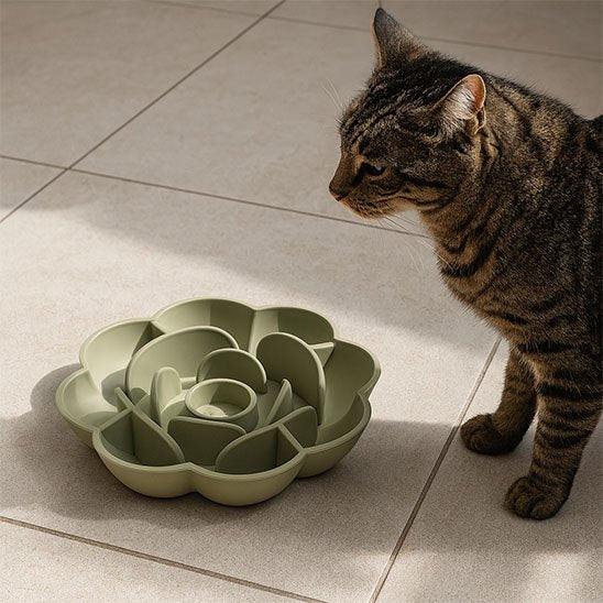 Gamelle anti glouton Chat | DigestoPause