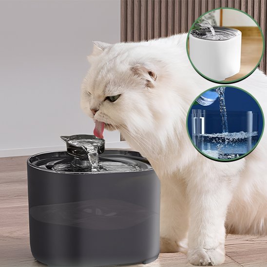Fontaine Ă eau chat | Cascade Premium