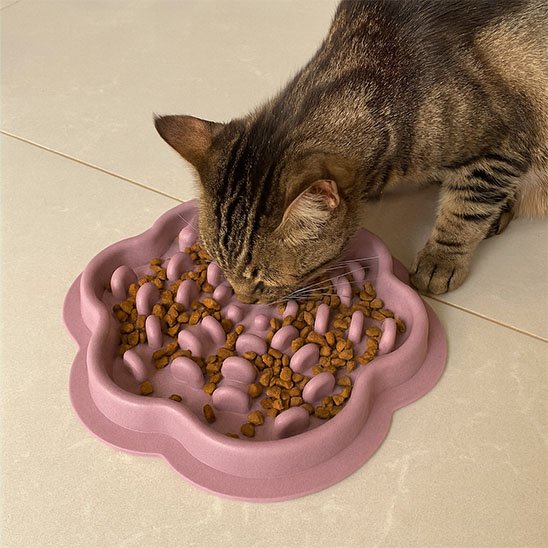 gamelle anti glouton Chat | FeliFast