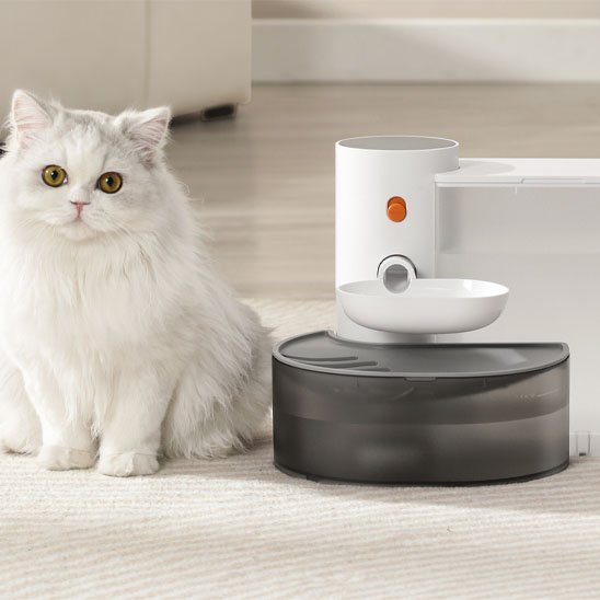 FONTAINE A EAU CHAT | SilencioFlow