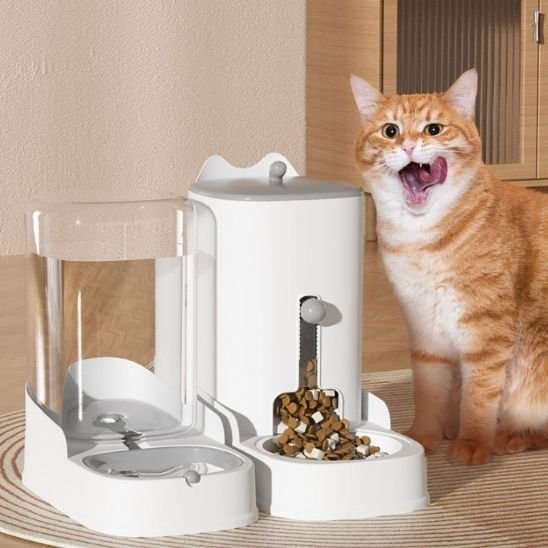 Distributeur de croquettes pour chat | AutoFeeder