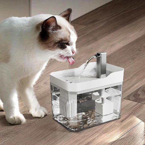 FONTAINE A EAU CHAT| FéliFresh