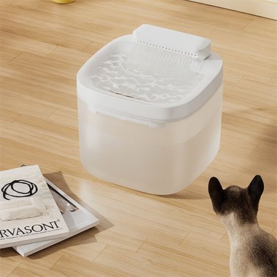 Fontaine eau chat | PureFlow