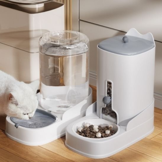 Distributeur de croquettes pour chat | AutoFeeder
