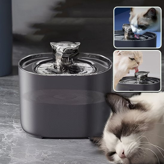 Fontaine Ă eau chat | Cascade Premium
