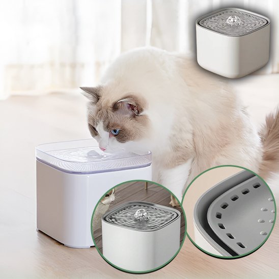 Fontaine à eau chat | Anti-déshydratation