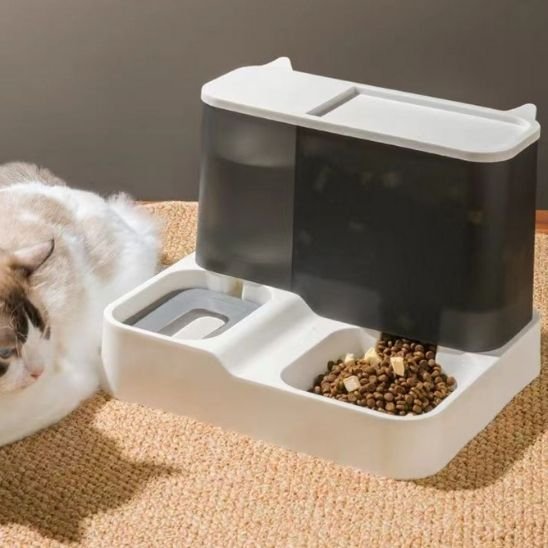 Distributeur de croquettes pour chat | AutoFeed
