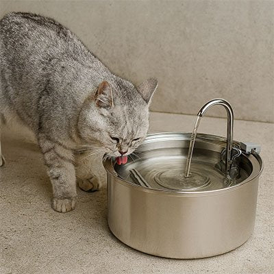 Fontaine Ă eau pour chat | Premium Inox