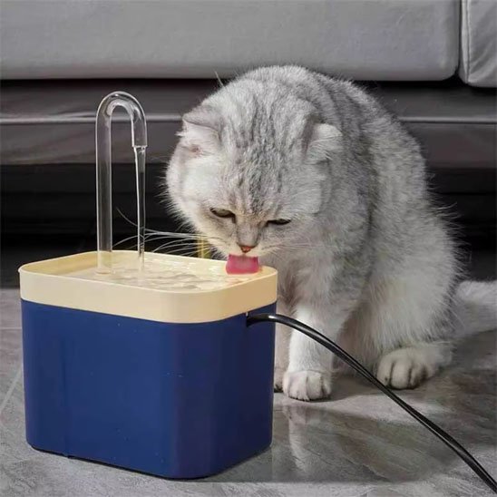 Fontaine eau chat | Silencia
