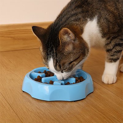 Gamelle anti glouton Chat | DigestControl
