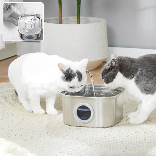 FONTAINE A EAU CHAT | Inox Santé
