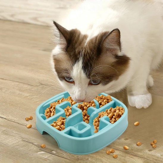 Gamelle anti glouton chat | BienManger