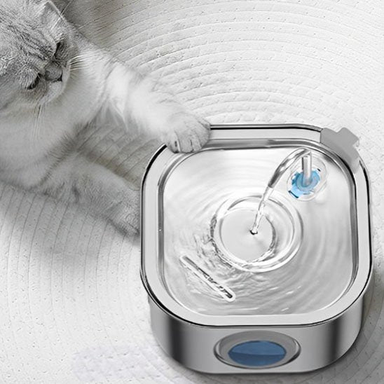 FONTAINE A EAU CHAT | Inox Santé