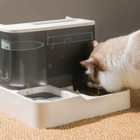 Distributeur de croquettes pour chat | AutoFeed