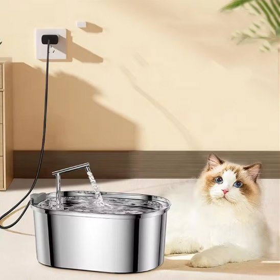 FONTAINE A EAU CHAT | Inox Santé Premium