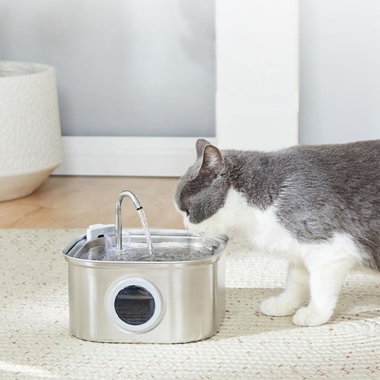FONTAINE A EAU CHAT | Inox Santé