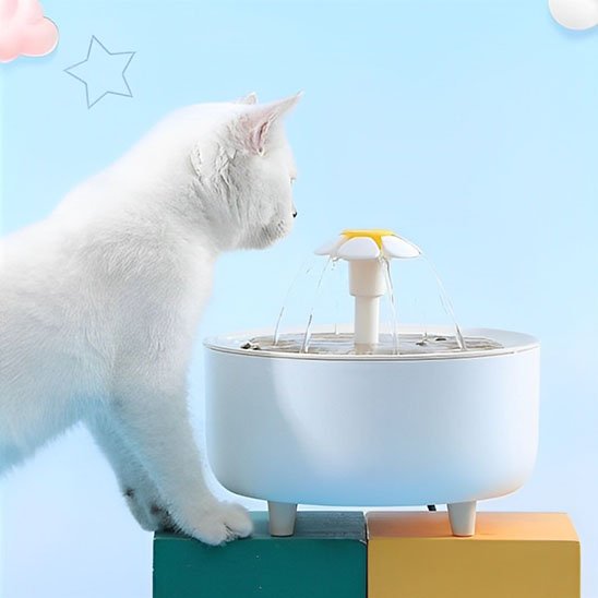 Fontaine Ă eau chat | HydraVital