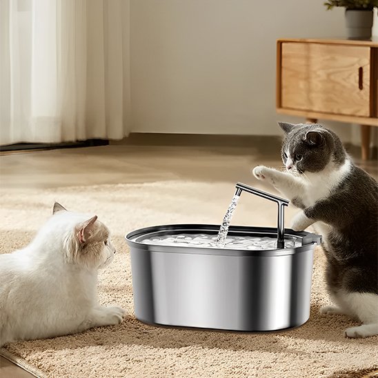 FONTAINE A EAU CHAT | Inox Santé Premium