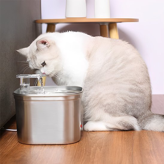 Fontaine a eau chat | FraîchVital - Ma boutique