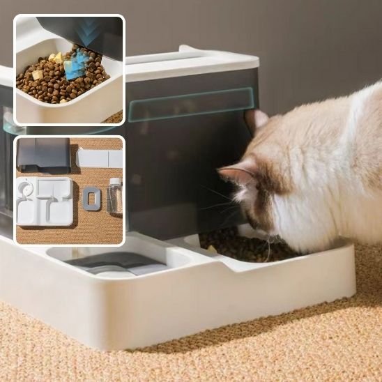 Distributeur de croquettes pour chat | AutoFeed