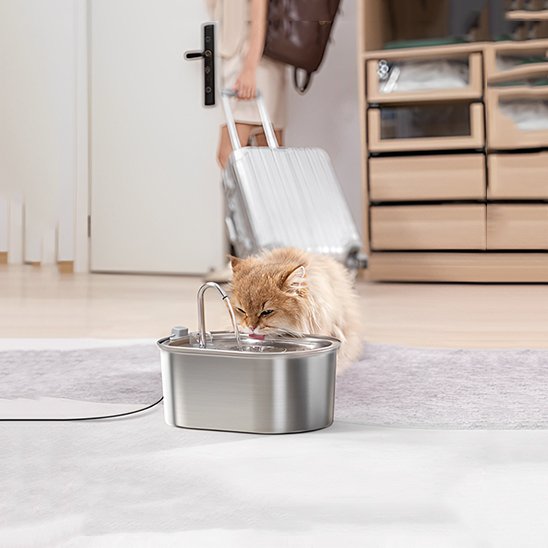 FONTAINE A EAU CHAT | Inox Santé Premium