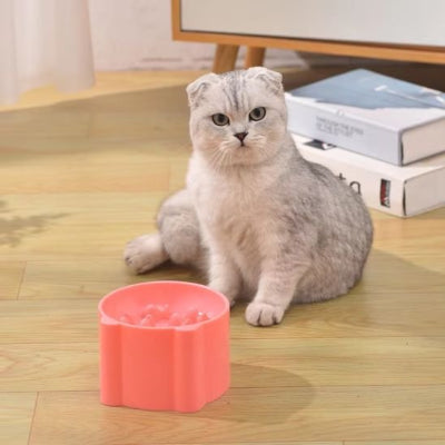 Gamelle anti glouton chat antidérapante pour des repas stables
