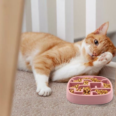 Gamelle anti glouton chat en plastique sûr et résistant