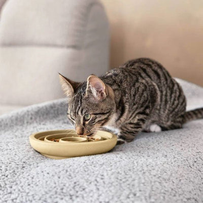 Gamelle anti glouton chat facile à nettoyer pour une utilisation quotidienne