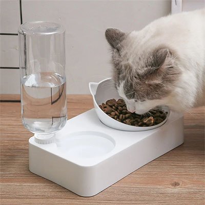 Gamelle chat antidérapante pour plus de stabilité