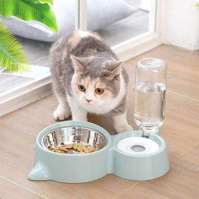 Gamelle chat double pour servir l’eau et les croquettes