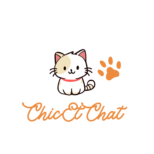 Chicetchat