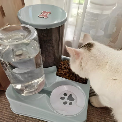 Chat attendant patiemment son repas devant le distributeur automatique