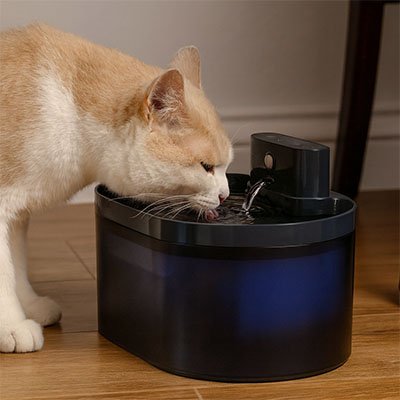 un chat qui boit dans une fontaine a eau pour chat