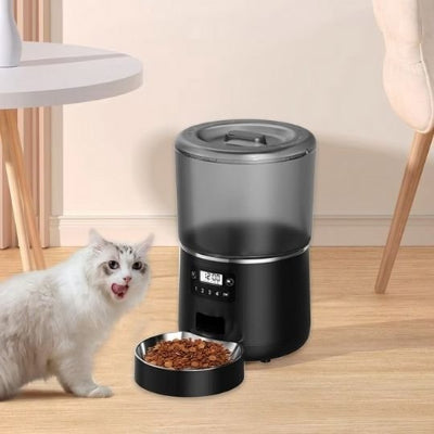 Chat qui découvre le distributeur de croquettes