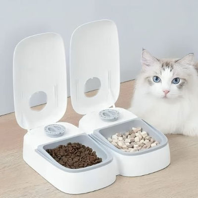 Chat qui mange le bol du distributeur de croquettes pour chat