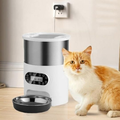 Chat qui observe le distributeur automatique pour chat avant de manger