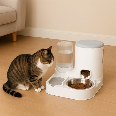 Chat qui profite de son repas avec le distributeur de croquettes pour chat