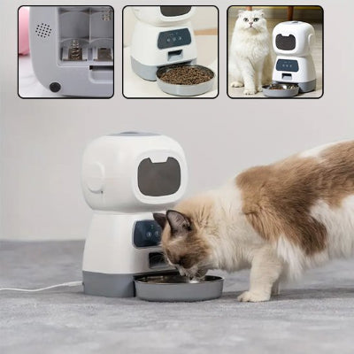 Chat qui se régale devant le distributeur de croquettes pour chat