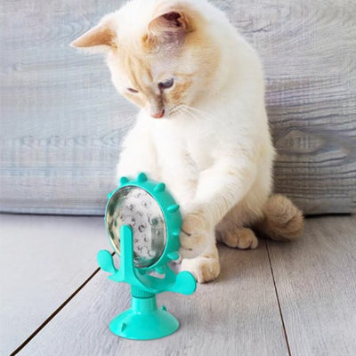 Distributeur de croquettes pour chat avec minuteur intégré pour programmer les repas