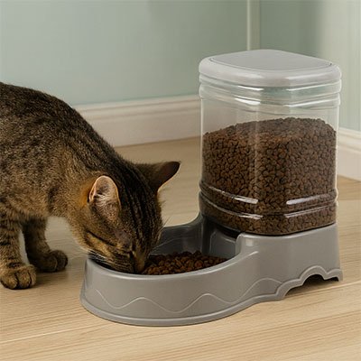 distributeur-de-croquettes-pour-chat-moderni