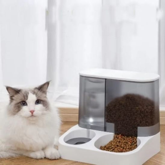 Distributeur de croquettes pour chat | AutoFeed