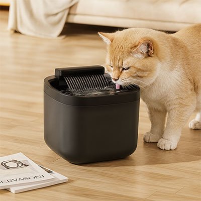 Fontaine eau chat | PureFlow