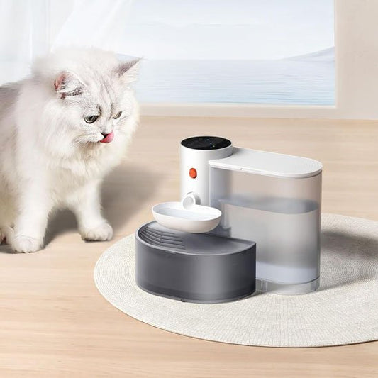 FONTAINE A EAU CHAT | SilencioFlow