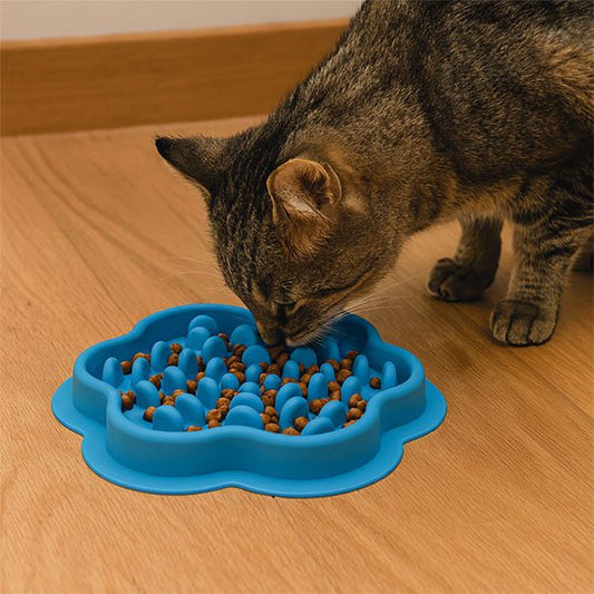 gamelle anti glouton Chat | FeliFast