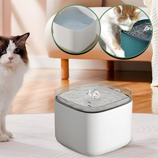 Fontaine à eau chat | Anti-déshydratation